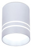 Накладной светильник Ambrella Light TN TN241 Накладной светильник Ambrella Light TN TN241
