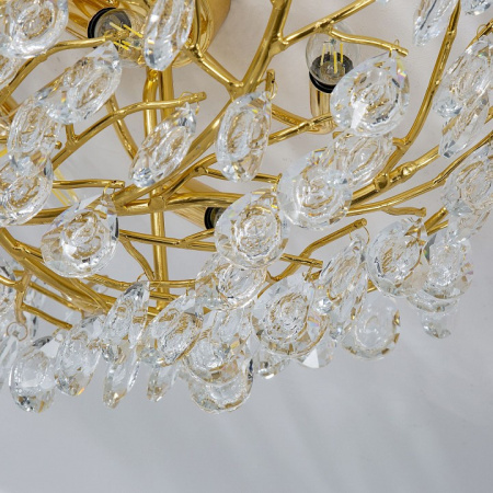 Фото Потолочная люстра Favourite Pluvia 4162-8C