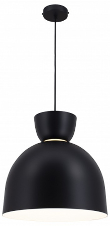 Фото Подвесной светильник Moderli Allen V11117-P