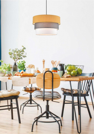 Фото Подвесной светильник Lumion Ilaida 8038/1