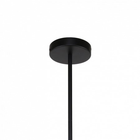 Фото Люстра на штанге F-promo Sheeny 3088-10P