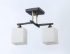Открыть Светильник на штанге Ambrella Light TR TR303112 Фото Светильник на штанге Ambrella Light TR TR303112
