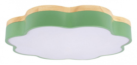 Фото Накладной светильник Loft it Axel 10225/36 Green