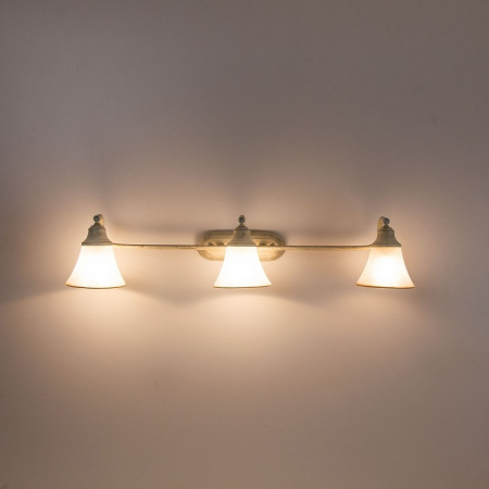 Фото Спот Citilux Прованс CL511534