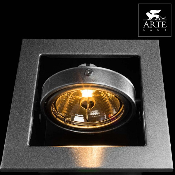 Открыть Встраиваемый светильник Arte Lamp Cardani Medio A5930PL-1SI Фото Встраиваемый светильник Arte Lamp Cardani Medio A5930PL-1SI