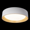 Открыть Накладной светильник Loft it Coin 10202 White Фото Накладной светильник Loft it Coin 10202 White