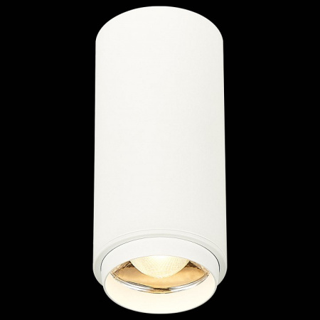 Фото Накладной светильник ST-Luce Zoom ST600.532.10