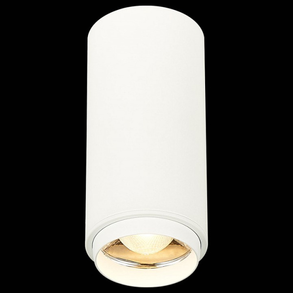 Фото Накладной светильник ST-Luce Zoom ST600.532.10