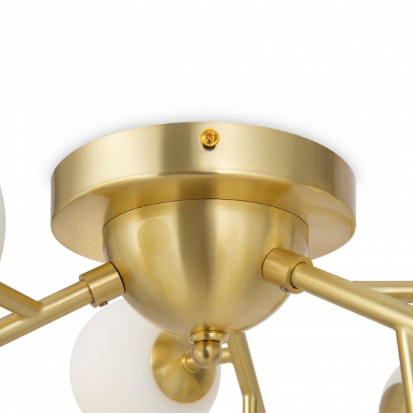 Фото Потолочная люстра Maytoni Dallas MOD545CL-12BS