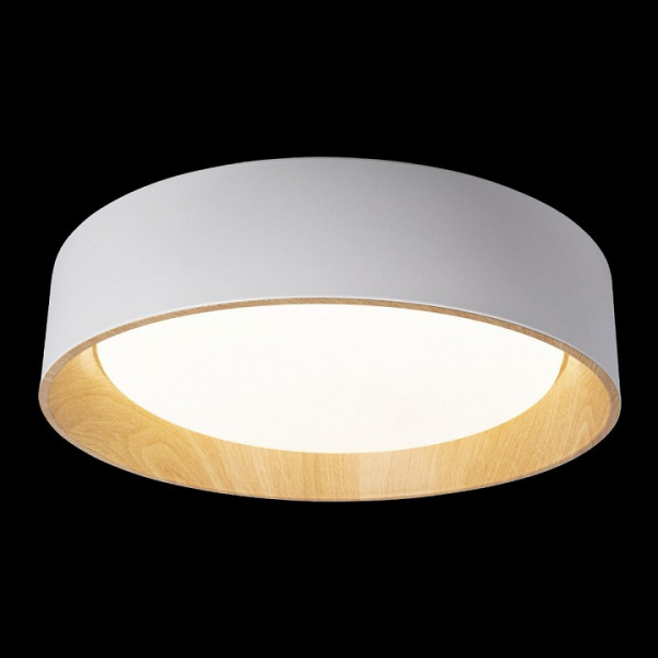 Фото Накладной светильник Loft it Coin 10202 White
