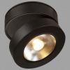 Открыть Накладной светильник Maytoni Magic C022CL-L12B Фото Накладной светильник Maytoni Magic C022CL-L12B