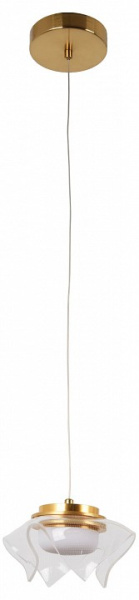 Фото Подвесной светильник DeMarkt Ауксис 7 722012101