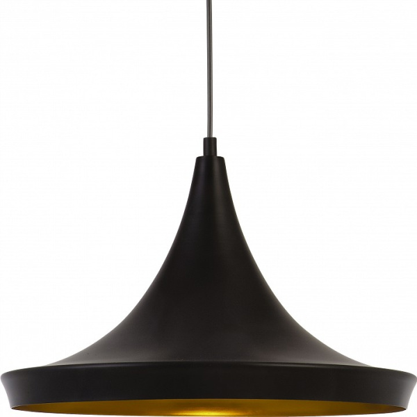 Фото Подвесной светильник Arte Lamp Capello A3406SP-1BK