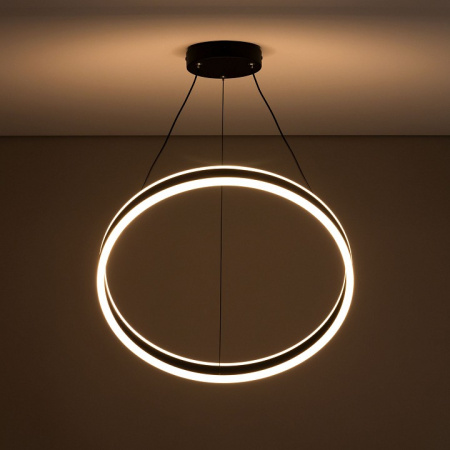 Фото Подвесной светильник Citilux Дуэт CL719501