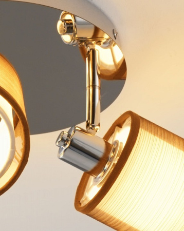 Фото Потолочная люстра Moderli Room V10627-3C