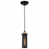 Фото Подвесной светильник Favourite Strainer 1788-1P