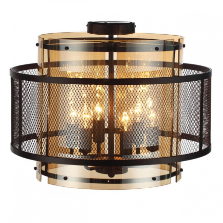 Фото Накладной светильник Lumion Zarina 8007/6C