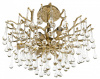 Фото Люстра на штанге Loft it Coral 10351/460C AB