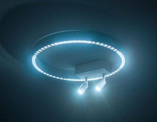 Открыть Накладной светильник Ambrella Light FL FL5805 Фото Накладной светильник Ambrella Light FL FL5805