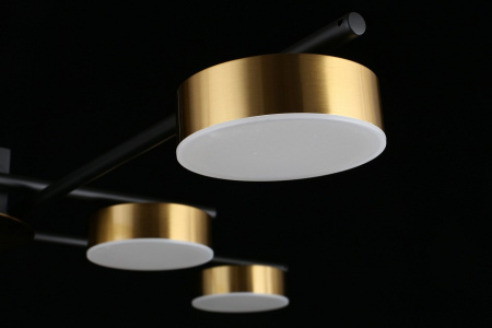 Фото Потолочная люстра Aployt Delayn APL.042.07.56