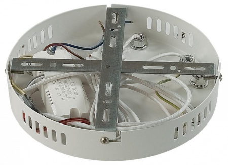 Фото Потолочная люстра Lumion Alberta 8029/60CL