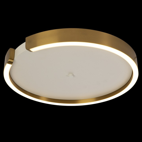 Фото Накладной светильник Loft it Ring 10026