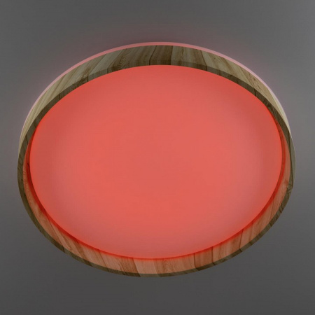 Фото Накладной светильник Citilux ENZO CL753452G