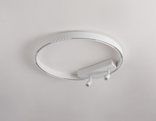 Фото Накладной светильник Ambrella Light FL FL5807