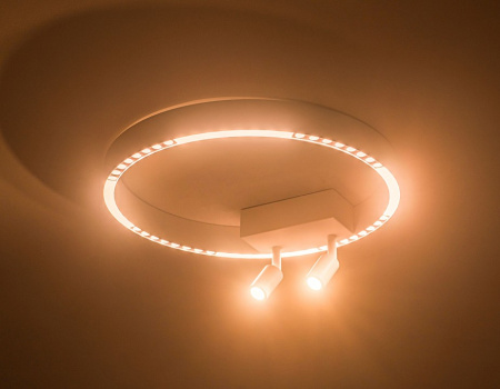 Открыть Накладной светильник Ambrella Light FL FL5805 Фото Накладной светильник Ambrella Light FL FL5805