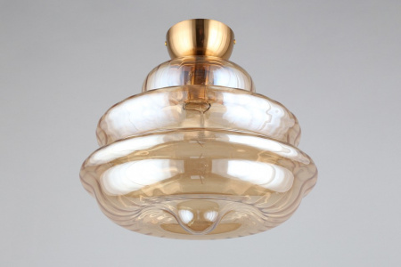 Фото Накладной светильник Aployt Liana APL.303.17.01