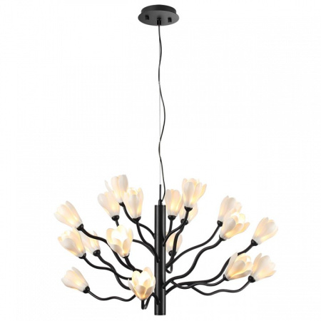 Фото Подвесная люстра Odeon Light Gardi 5090/18