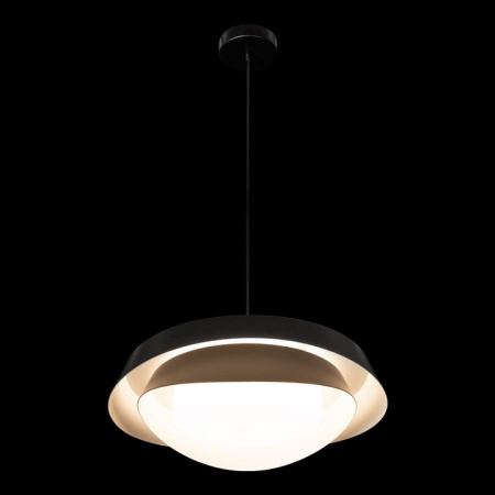 Фото Подвесной светильник Loft it Petale 10256P Black