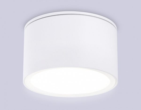 Фото Накладной светильник Ambrella Light TN TN6522