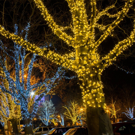 Фото Гирлянда Нить Eurosvet 400-102 400-102 белый