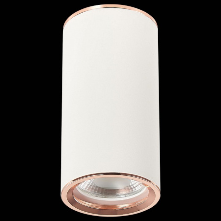 Фото Накладной светильник ST-Luce Chomus ST111.527.01