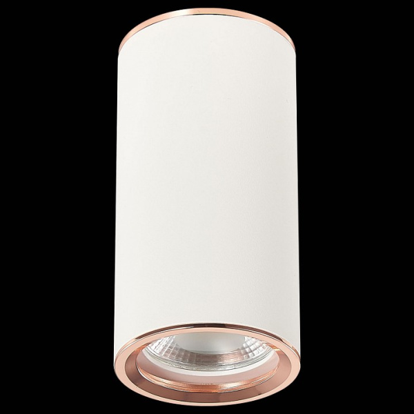 Фото Накладной светильник ST-Luce Chomus ST111.527.01