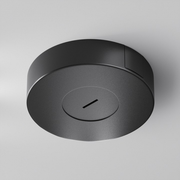 Фото Основание для трека-ремня Maytoni Accessories for system Parity TRA130SC-1B