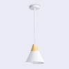 Открыть Подвесной светильник Ambrella Light TR TR8195 Фото Подвесной светильник Ambrella Light TR TR8195