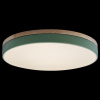 Открыть Накладной светильник Loft it Axel 10001/36 Green Фото Накладной светильник Loft it Axel 10001/36 Green
