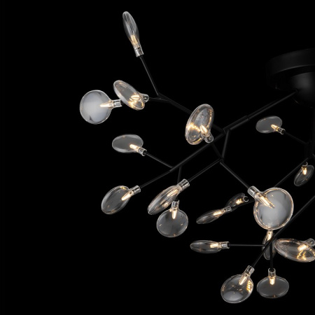 Фото Потолочная люстра Freya Florencia FR5049CL-36B