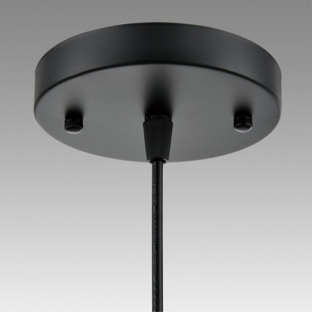 Фото Подвесной светильник Lumion Elenika 8056/1А