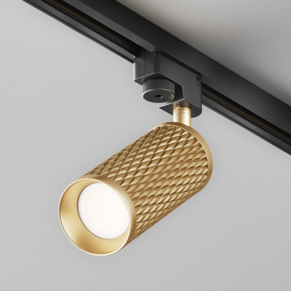 Фото Светильник на штанге Maytoni Focus Design TR011-1-GU10-G
