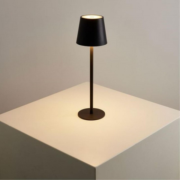 Фото Настольная лампа декоративная Arte Lamp Fuyue A1614LT-1BK