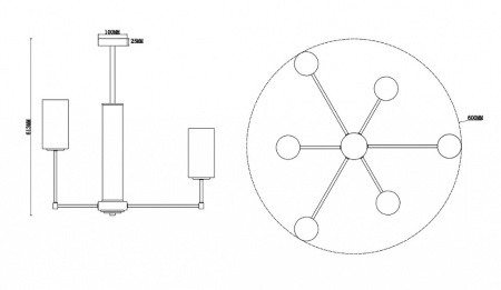 Фото Люстра на штанге Freya Agnes FR5184PL-06BS