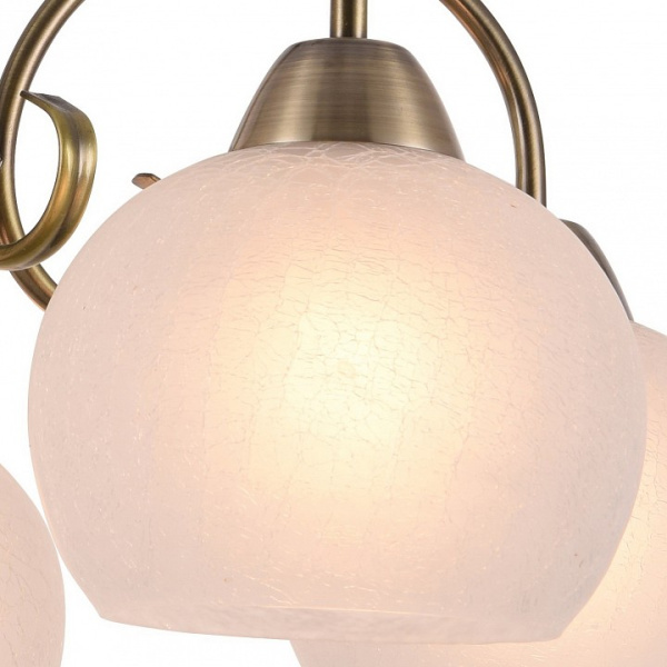 Открыть Подвесная люстра Arte Lamp Margo A9317LM-5AB Фото Подвесная люстра Arte Lamp Margo A9317LM-5AB