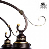Открыть Потолочная люстра Arte Lamp Grazioso A4577PL-8CK Фото Потолочная люстра Arte Lamp Grazioso A4577PL-8CK