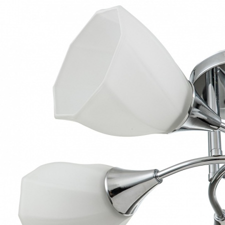 Фото Потолочная люстра Escada Camellia 664/5P