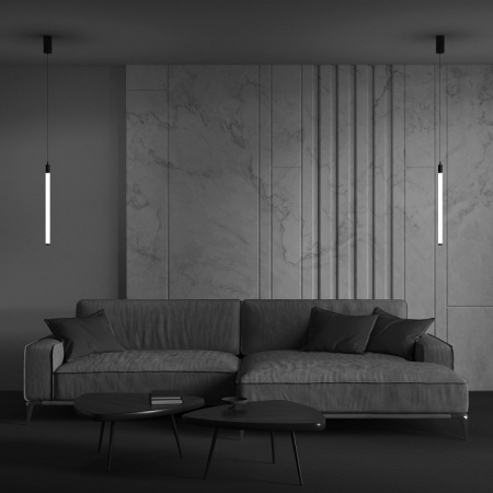 Фото Подвесной светильник Maytoni Ray P022PL-L10B