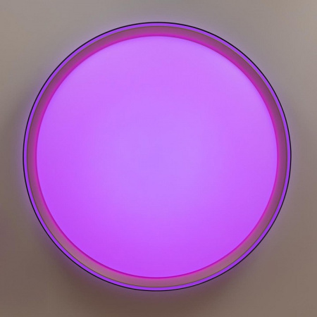 Фото Накладной светильник Citilux BOSS CL751451G