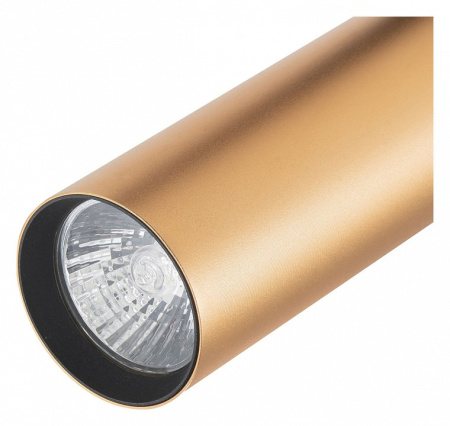 Фото Светильник на штанге Escada 20001 20001TRA/02 BR